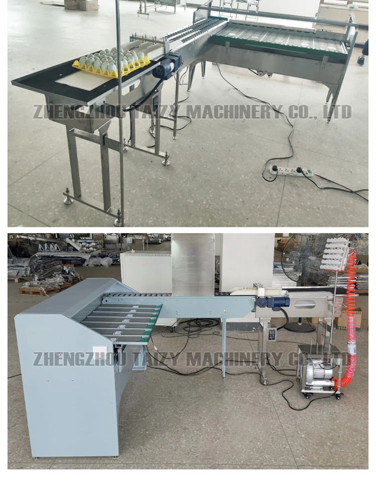 Egg Grading Machine factory photo Egg Grading Machine factory photo