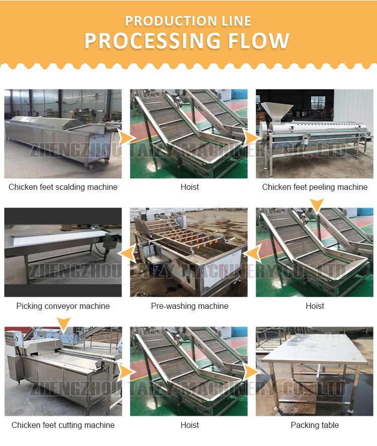 Chicken Feet Processing Machine factory Chicken Feet Processing Machine factory