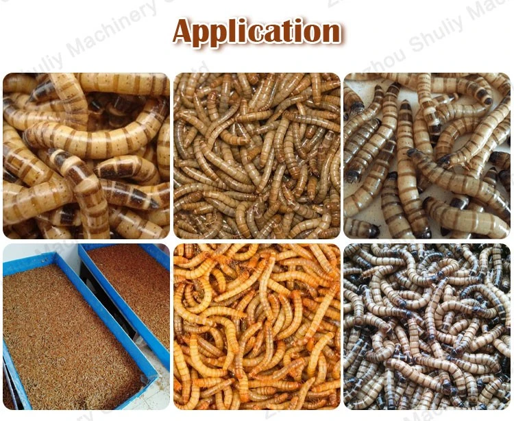mealworm size selecting machine mealworm size selecting machine