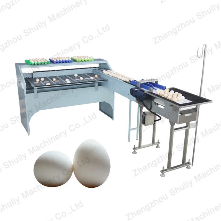 Automatic Egg Sorting Machine