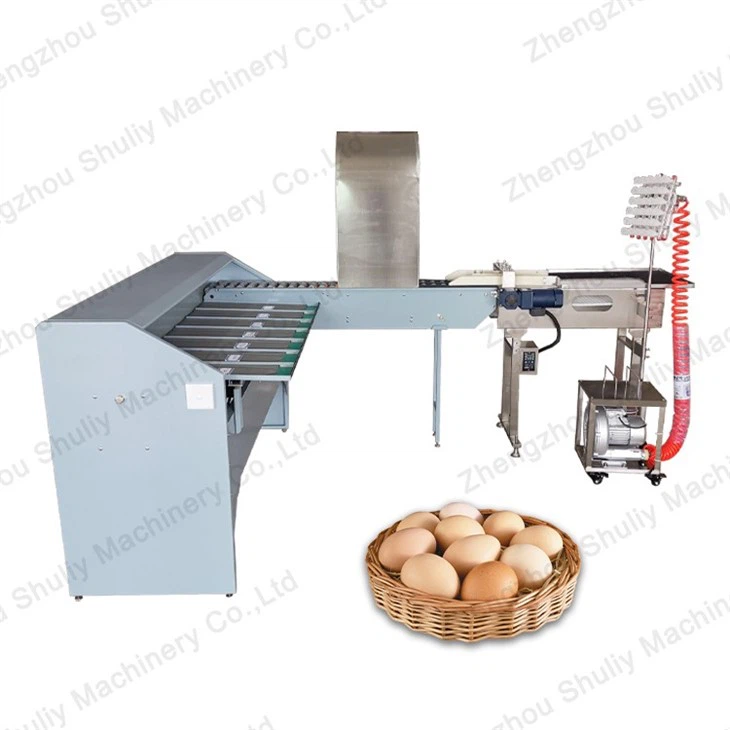 Automatic Egg Sorting Machine