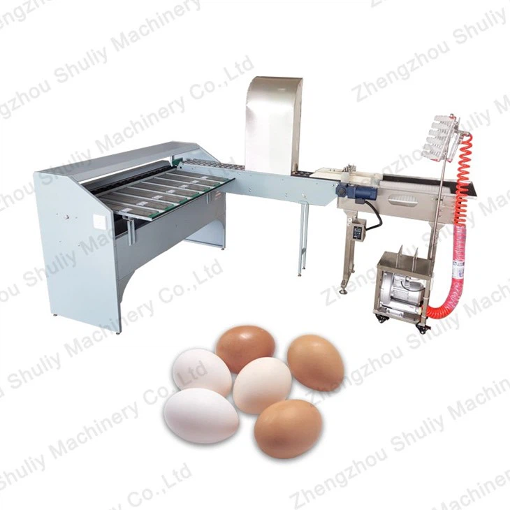 Automatic Egg Sorting Machine
