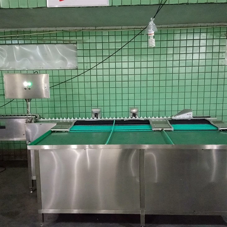 Egg Sorting Machine